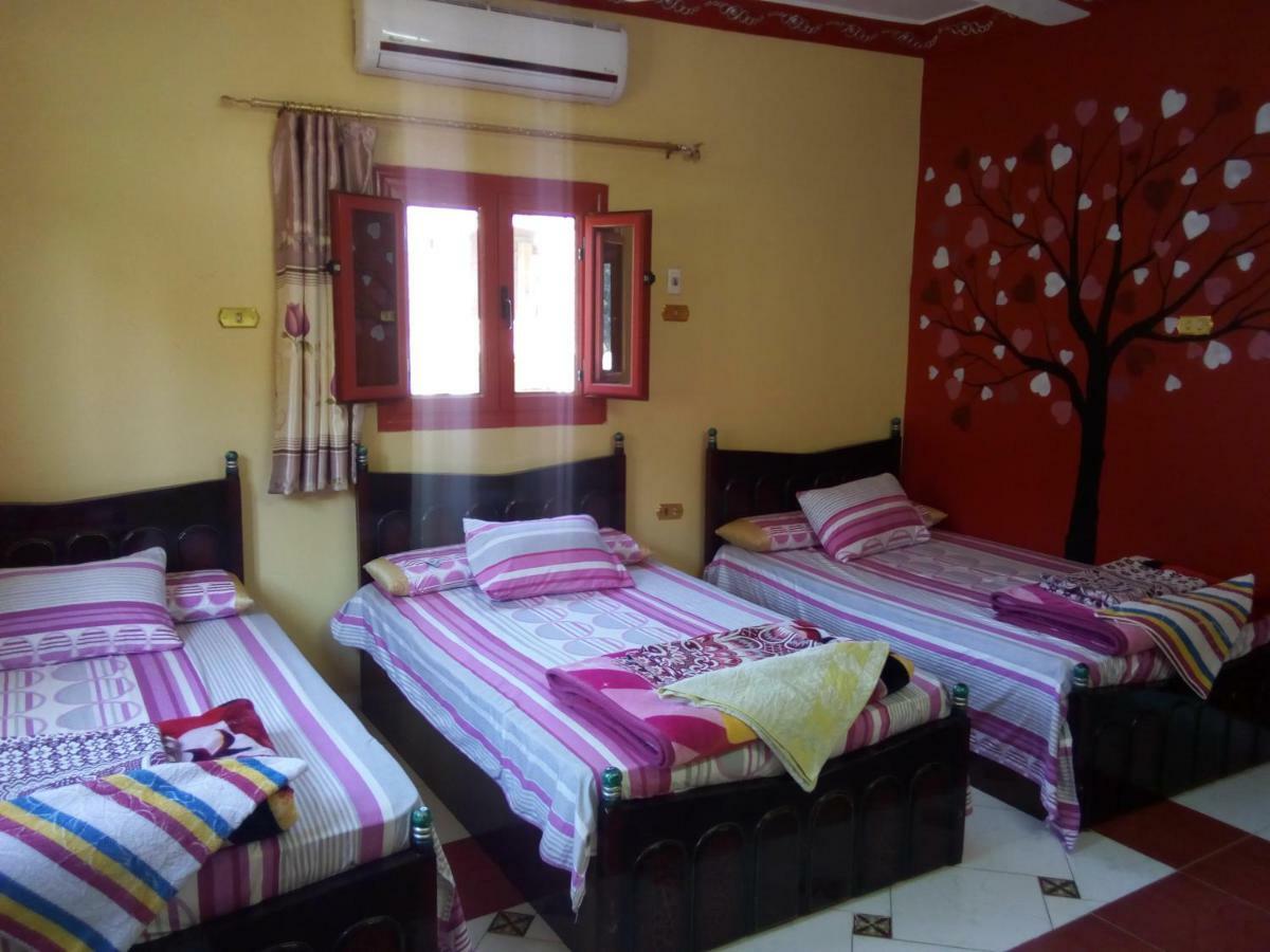El-Amin Guest House Aswan Exterior photo