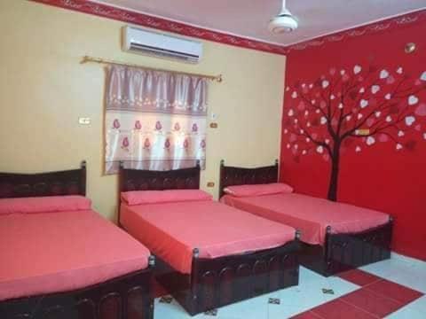 El-Amin Guest House Aswan Exterior photo
